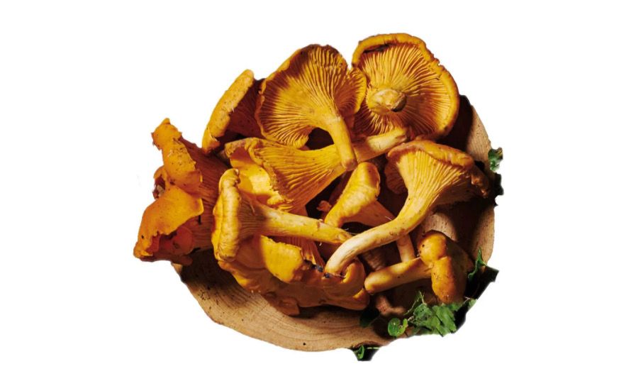 10 tipos de setas en oferta que encontrarás en Lidl (foto Lidl)5