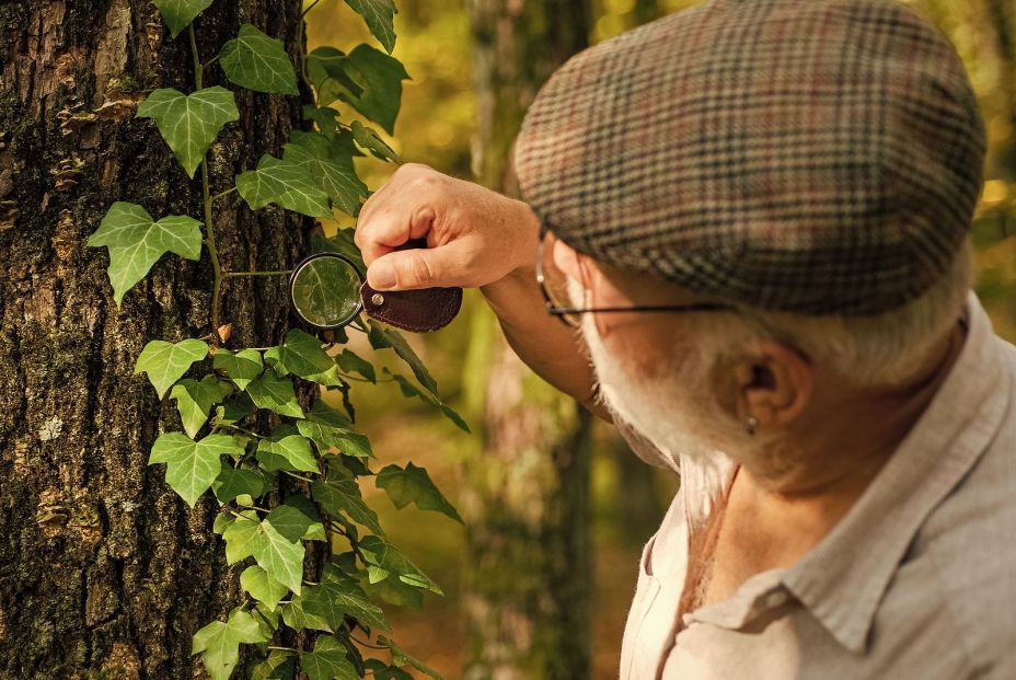 'El Árbol de los Deseos' cumplirá los sueños de tres mayores de Almería