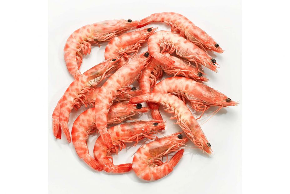 langostino tigre langostino tigre