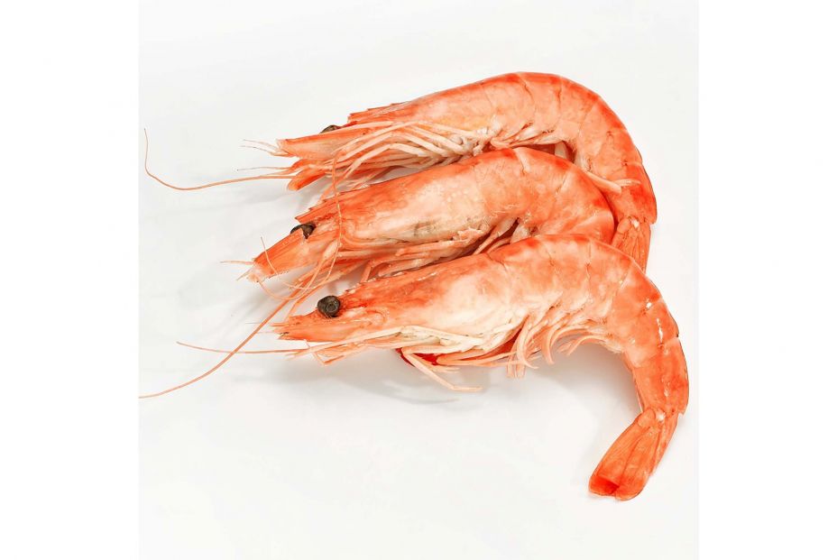 langostino madagascar langostino madagascar