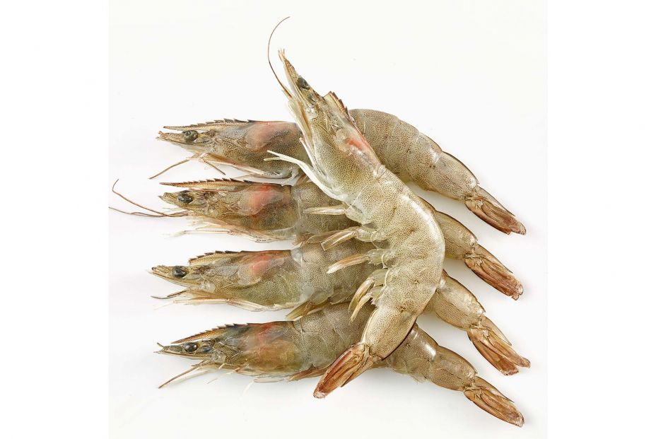 langostino crudo langostino crudo