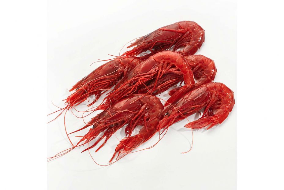 carabineros carabineros