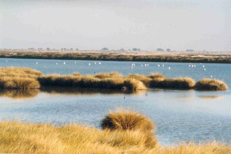 Doñana Doñana