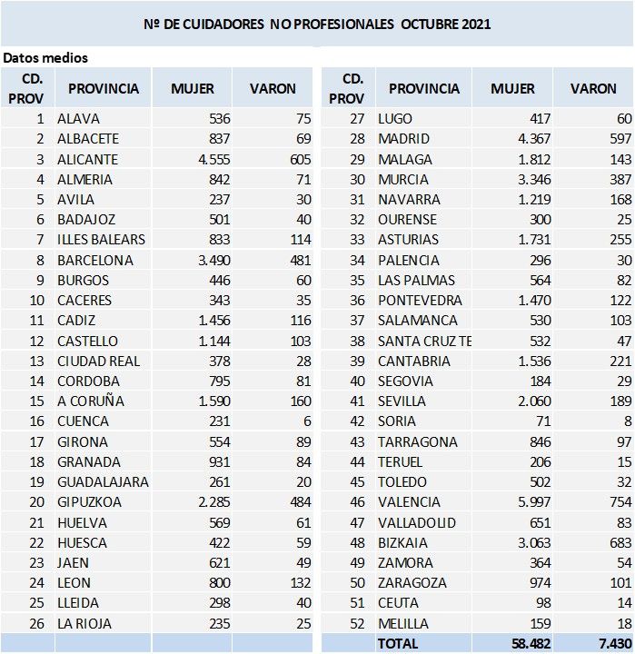 Cuidadores no profesionales en España Cuidadores no profesionales en España