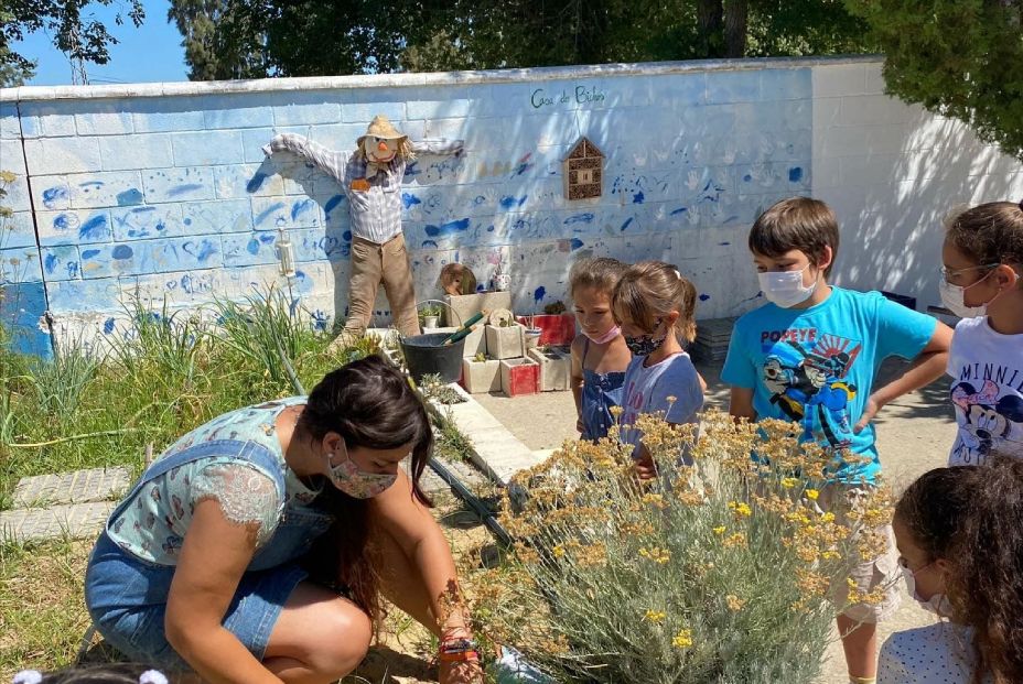 huertishi 2 huertishi 2