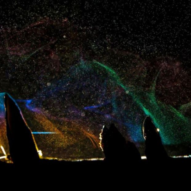 Las mejores fotografías de animales del 2021, según Nature inFocus