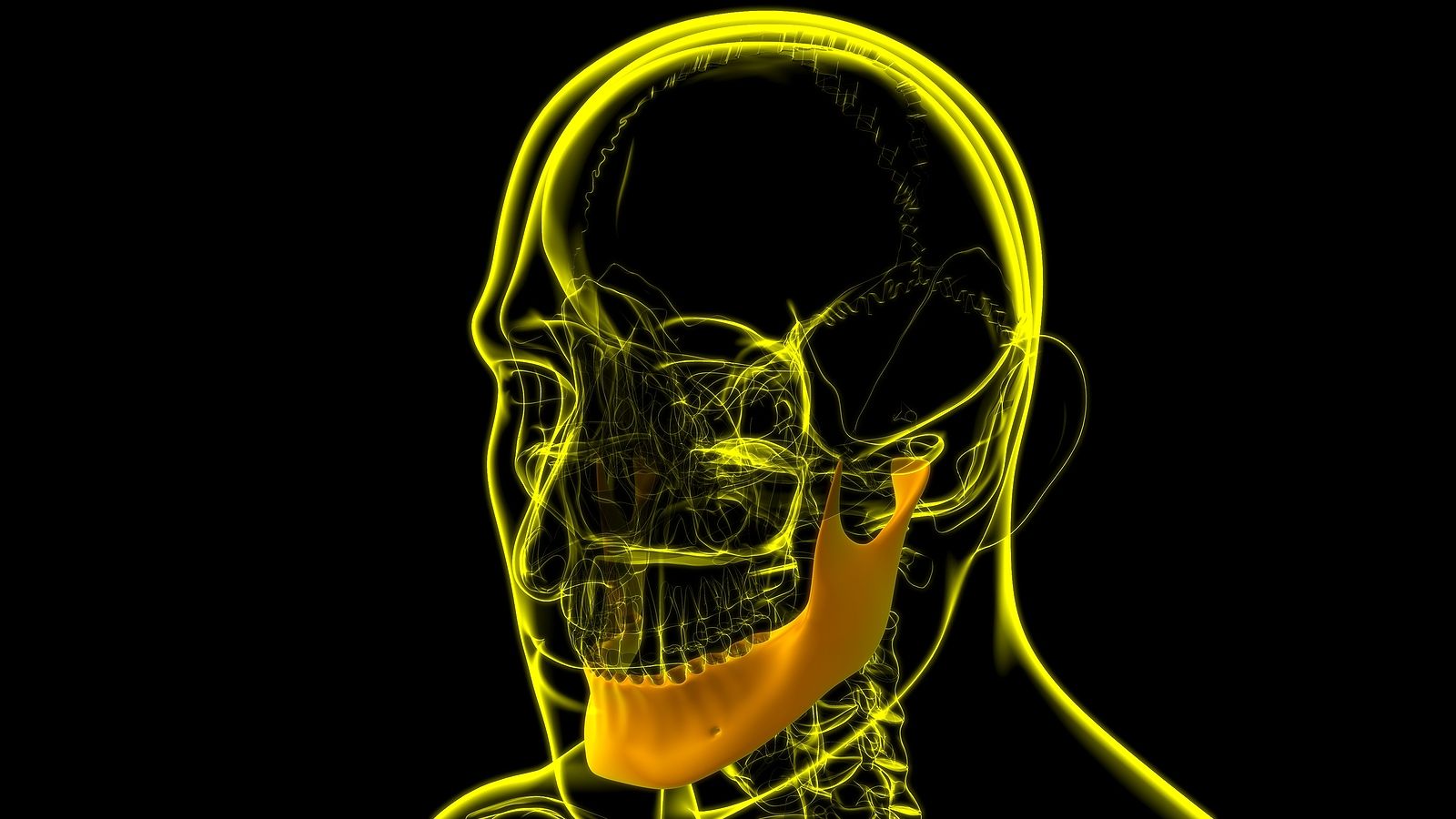 Descubren una nueva capa muscular en la mandíbula
