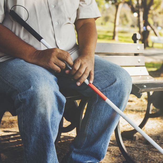 persona discapacidad ceguera persona discapacidad ceguera