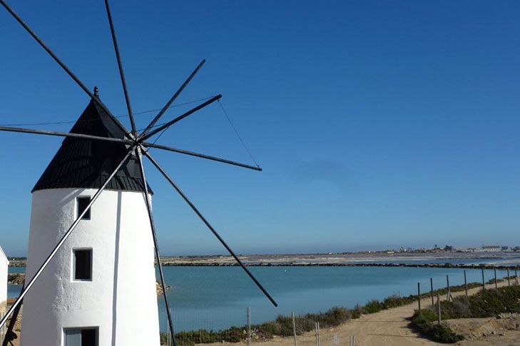 Molinos de Quintín y Calcetera en San Pedro del Pinatar. Foto Murcia Turística