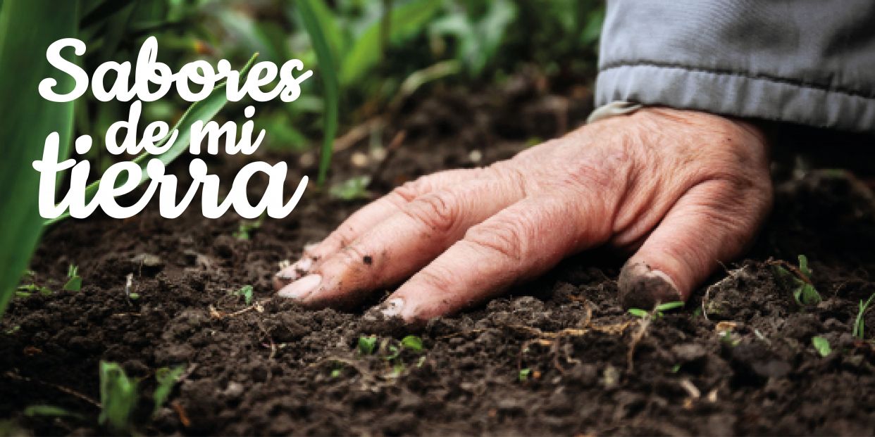 saboresdemitierra ok saboresdemitierra ok