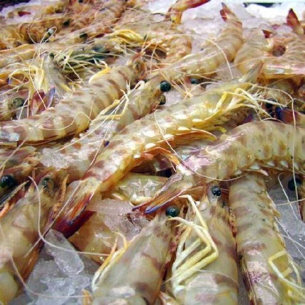 langostino mar menor langostino mar menor