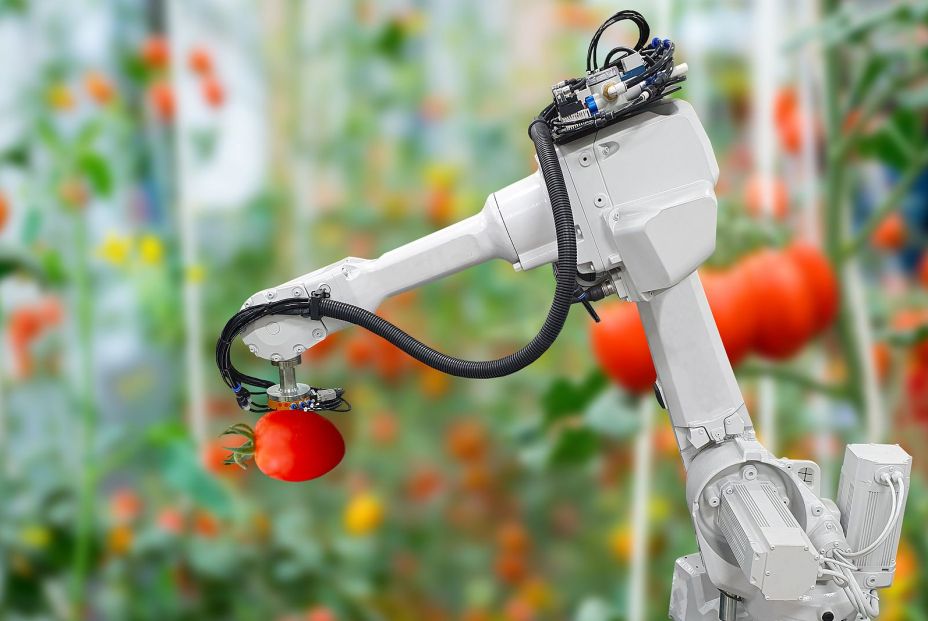 Alemania propone que los robots coticen para sostener el sistema de pensiones. Foto: bigstock Alemania propone que los robots coticen para sostener el sistema de pensiones. Foto: bigstock