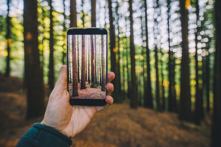 Sostenibilidad 2 Sostenibilidad 2