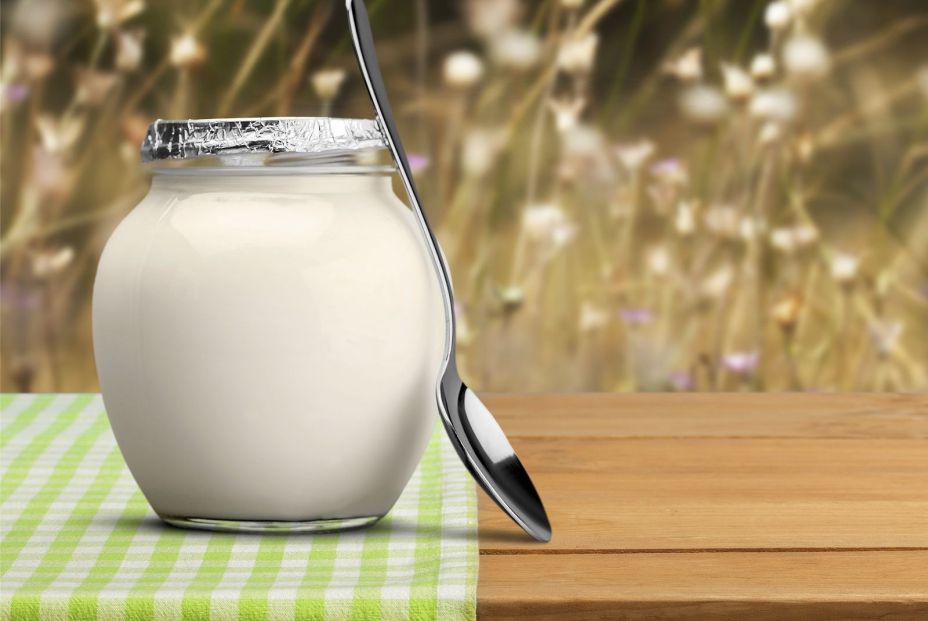 Diferencias entre el yogur tradicional y el griego Diferencias entre el yogur tradicional y el griego