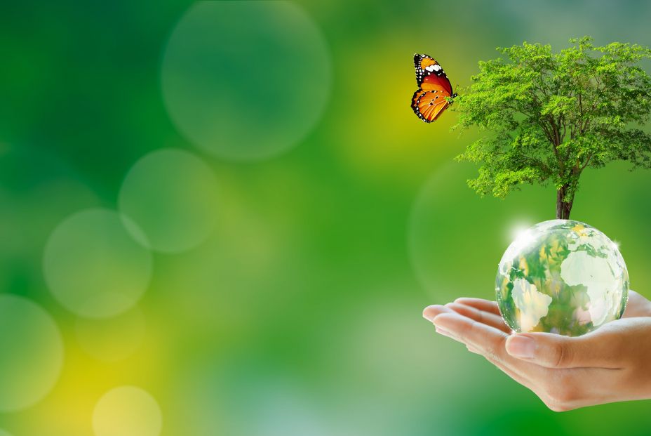 arboles planeta biodiversidad