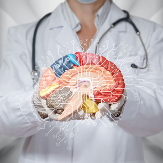 Investigadoras del CSIC descubren un nuevo mecanismo para activar las células madre del cerebro Investigadoras del CSIC descubren un nuevo mecanismo para activar las células madre del cerebro