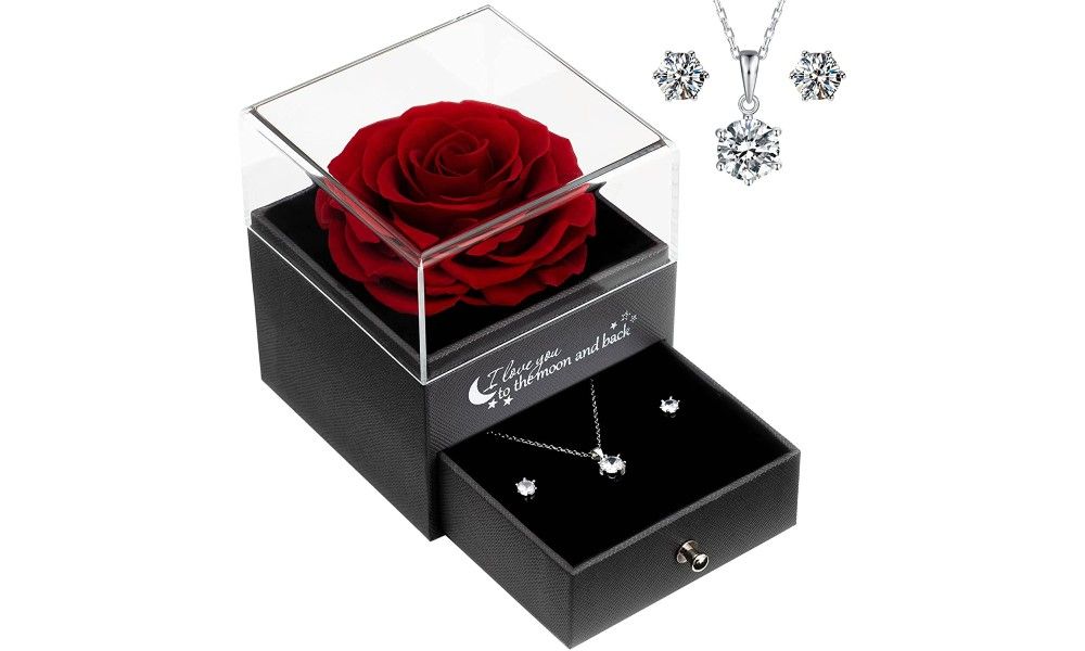 Rosa con cadena de plata