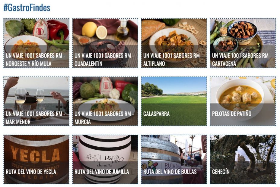 gastrofindes gastrofindes