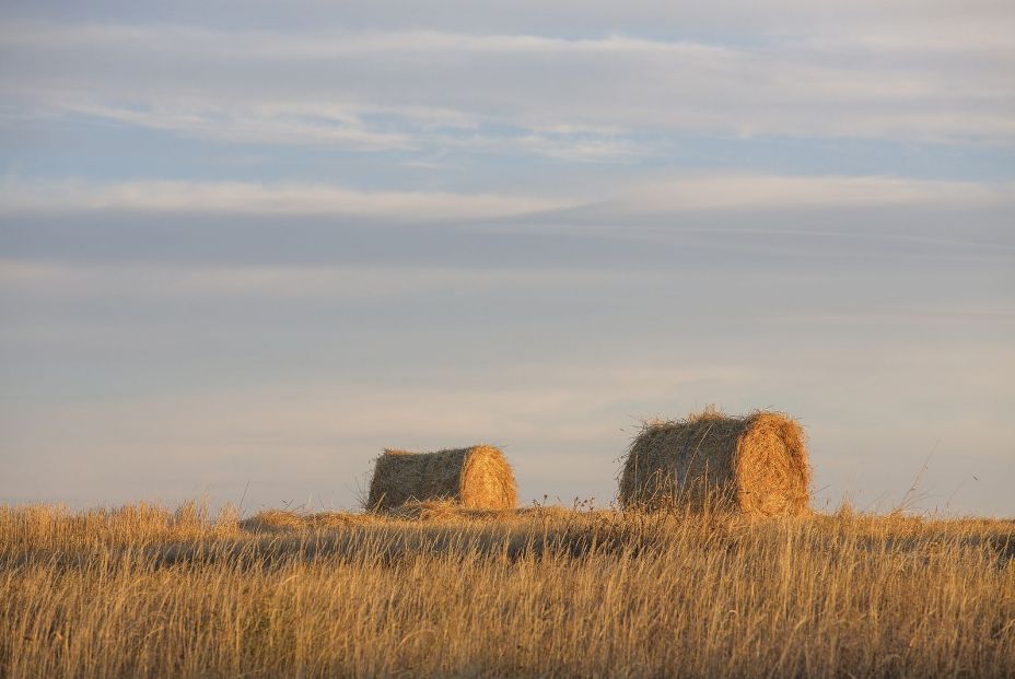 Explotación agraria