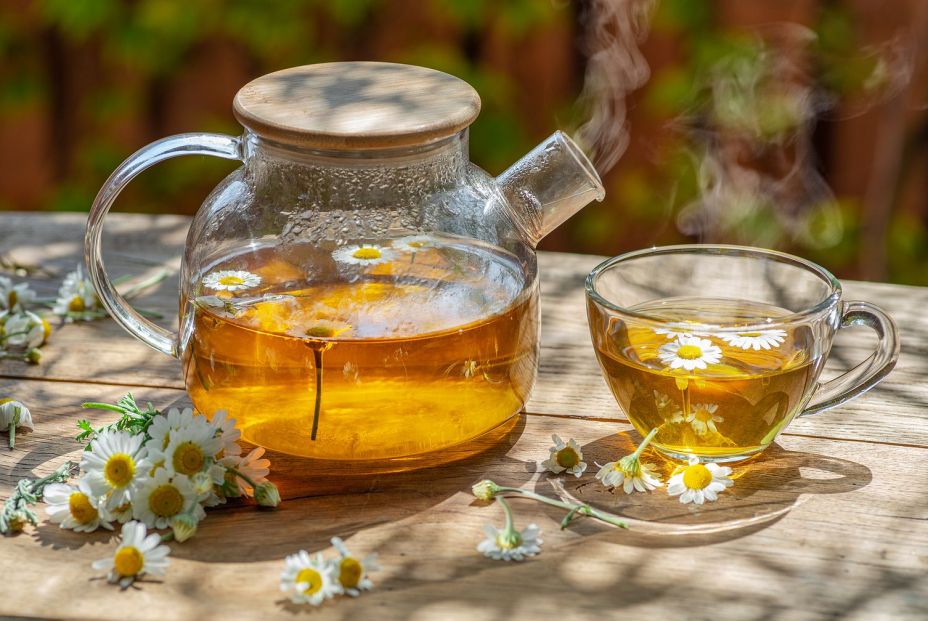 Ocho infusiones y sus beneficios Ocho infusiones y sus beneficios