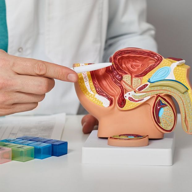 cancer prostata hormona sueño cancer prostata hormona sueño