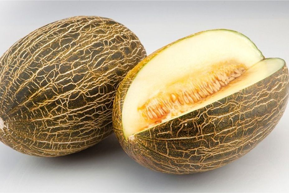 melon torre pacheco melon torre pacheco