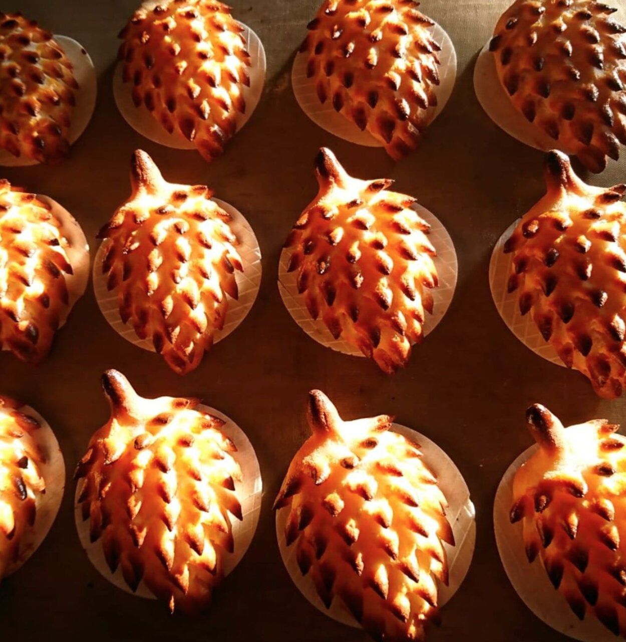 Moratalla: castillo, arte rupestre y buena mesa