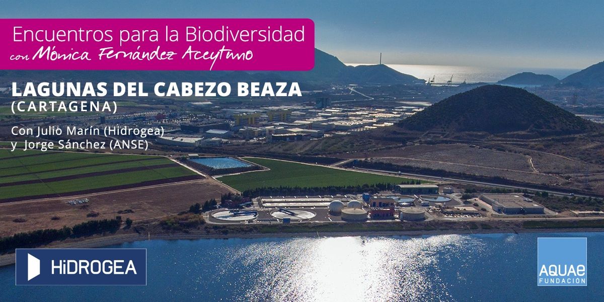 Encuentros Laguna Cabezo Beaza Encuentros Laguna Cabezo Beaza