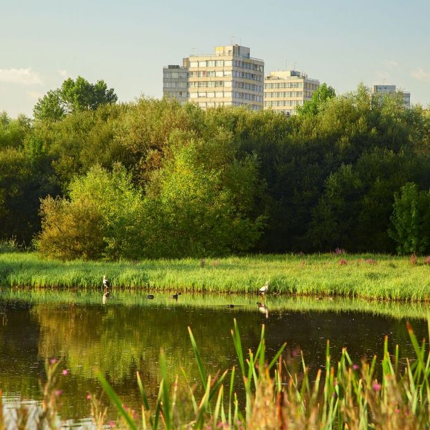 Las 5 ciudades españolas con más zonas verdes