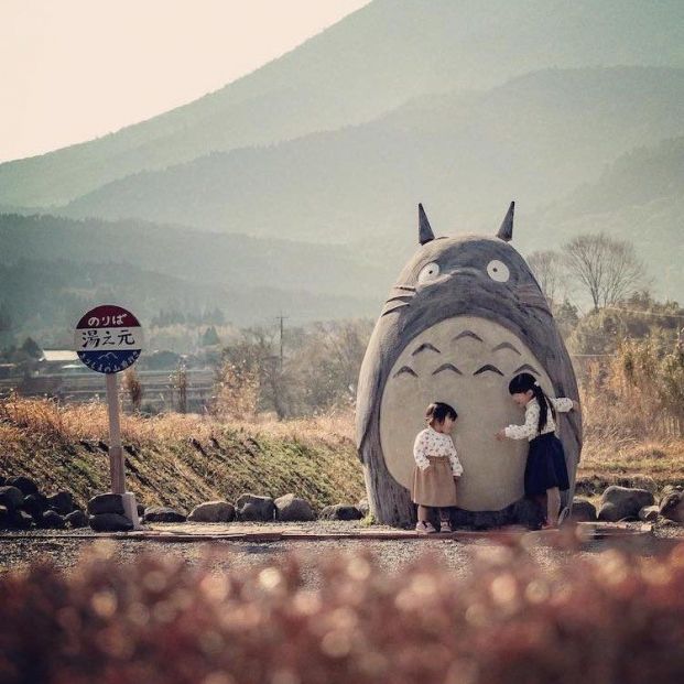 totoro4 totoro4