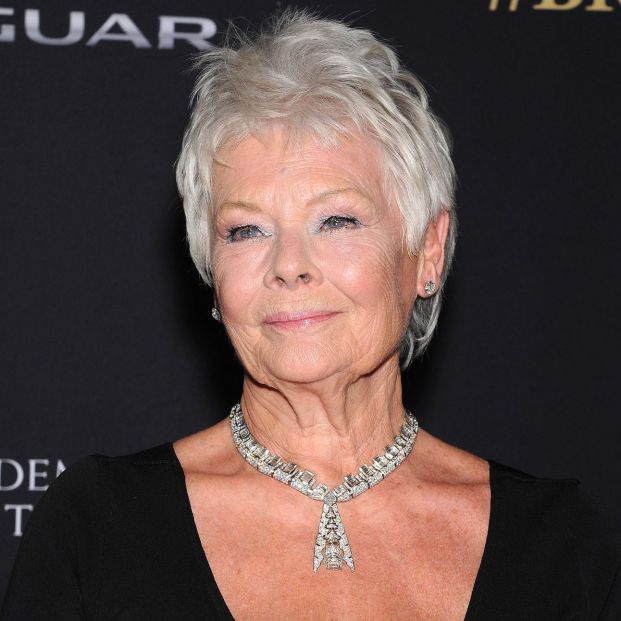 bigstock LOS ANGELESOCT Dame Ju 78400334