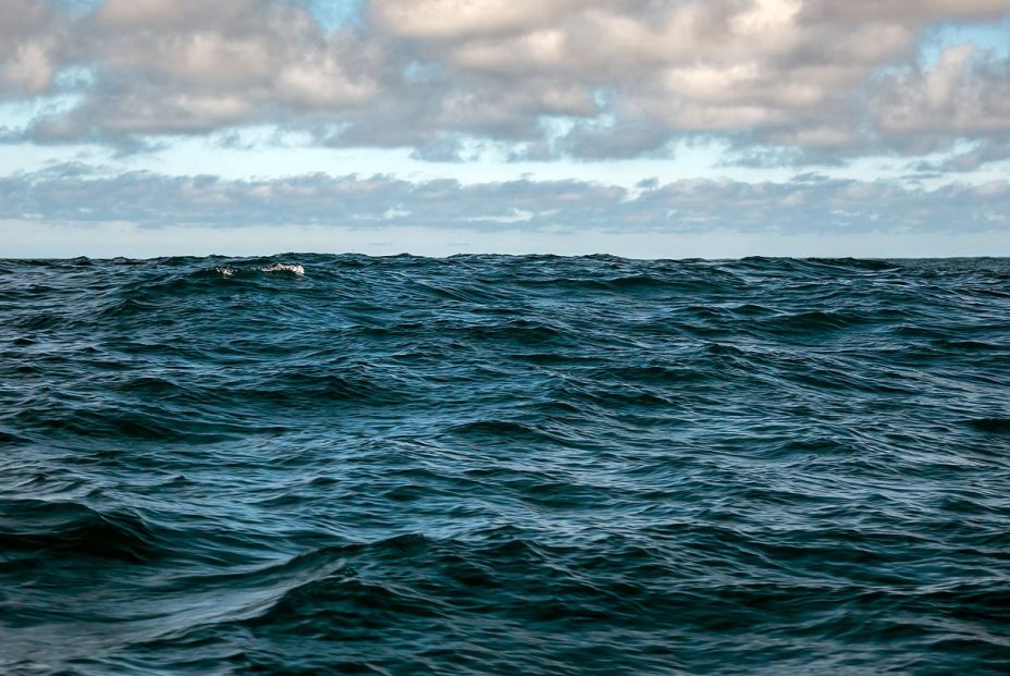 El nuevo requisito para poder esparcir cenizas funerarias en el mar El nuevo requisito para poder esparcir cenizas funerarias en el mar