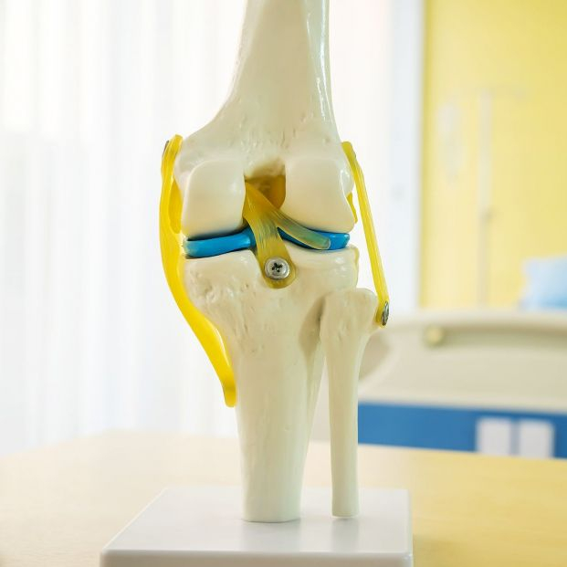 prótesis de rodilla prótesis de rodilla