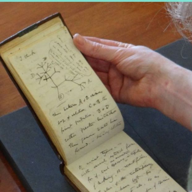 Captura de pantalla 2022 04 06 a las 11.30.54